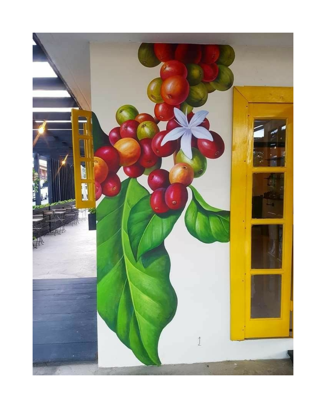 best mural idea for cafe wall by oikar studio