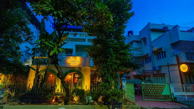 Mural artist in Salt Lake working on a hand-painted café wall mural at Country House Café, executed by Oikar Studio